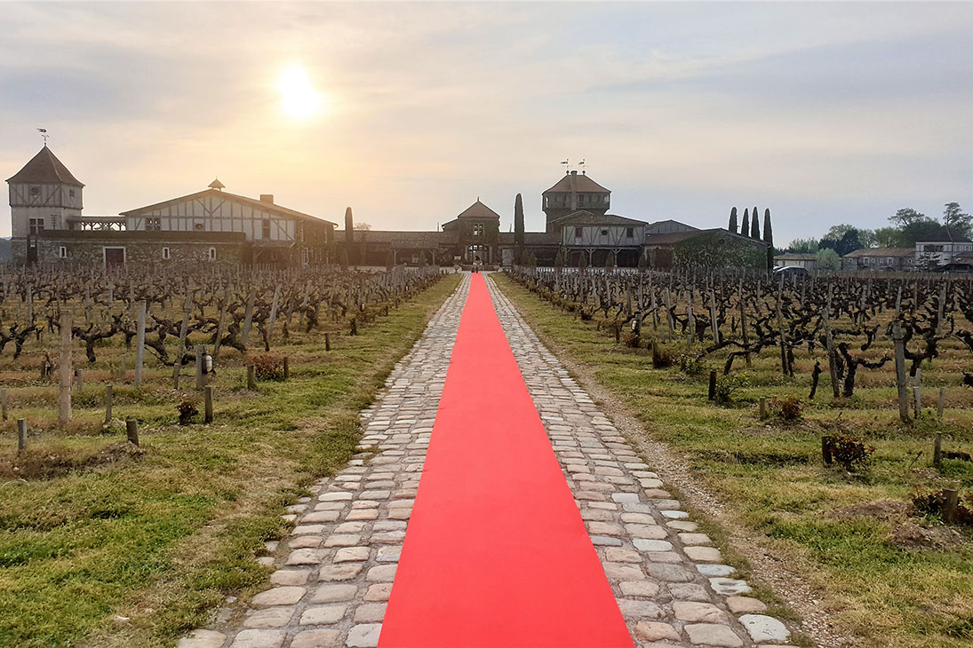 Eintauchen in die Weinkultur und das Erbe von Bordeaux: Eine Reise durch Weinberge und historische Sehenswürdigkeiten